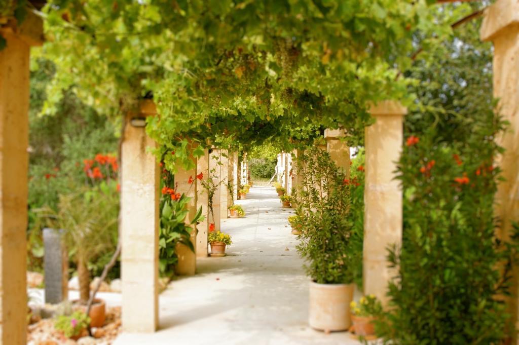Finca Son Sampoli - Agroturismo Son Sampoli Apartment Лукмахор Екстериор снимка
